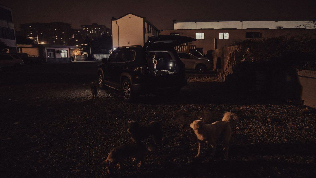 PTS-493 性態調査 巨乳素人ヤリ活ハメパコ ハートもマ○コもフルオープンした美女たちとガチおせっせSP動画