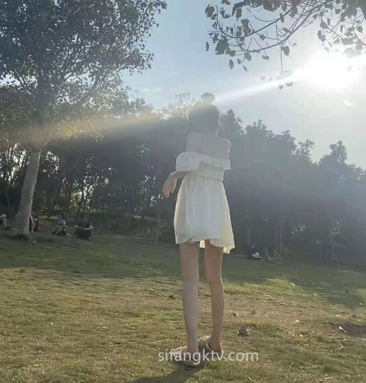 无码av最新高清无码专区