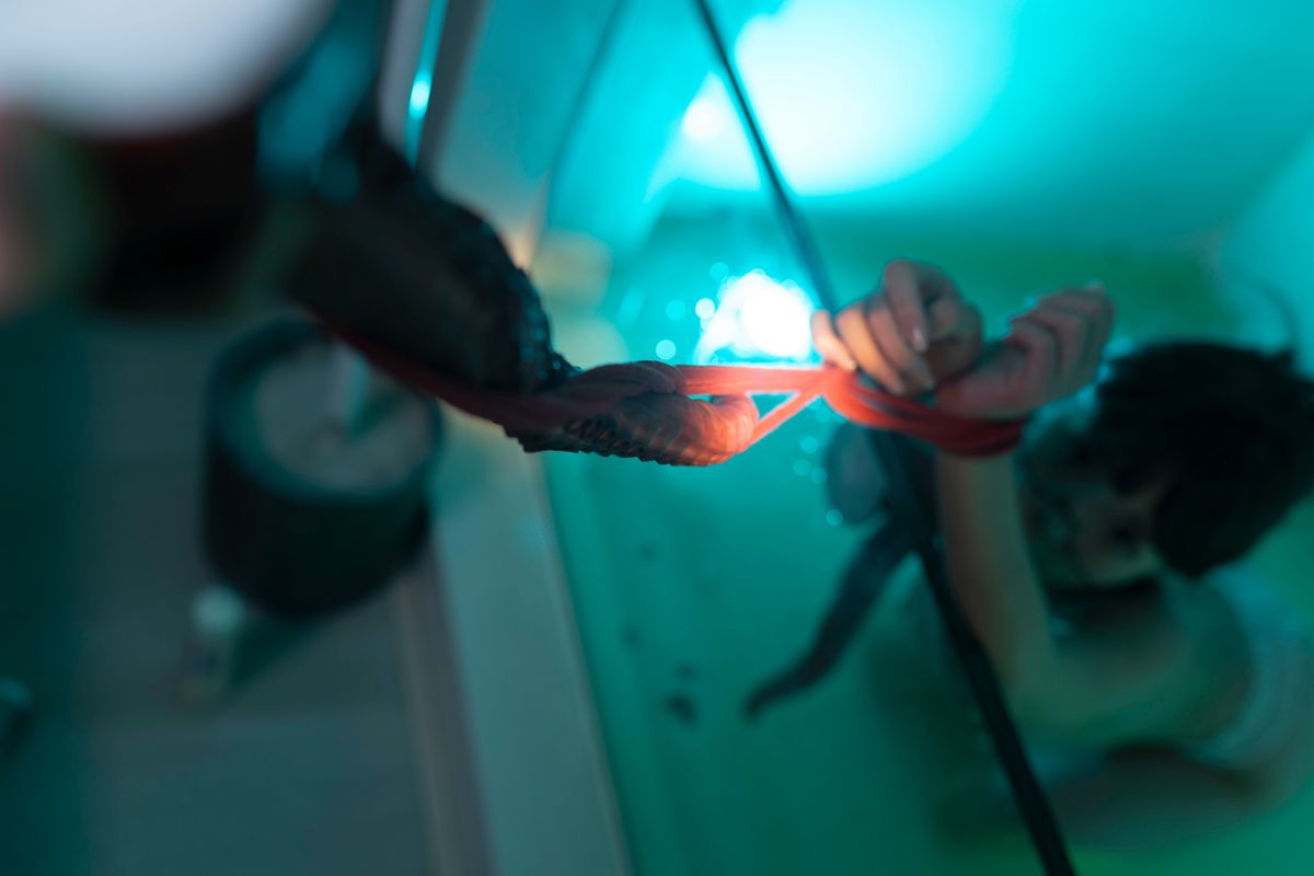 91无码精品国产AⅤ在线网站 - 1080动漫免费观看