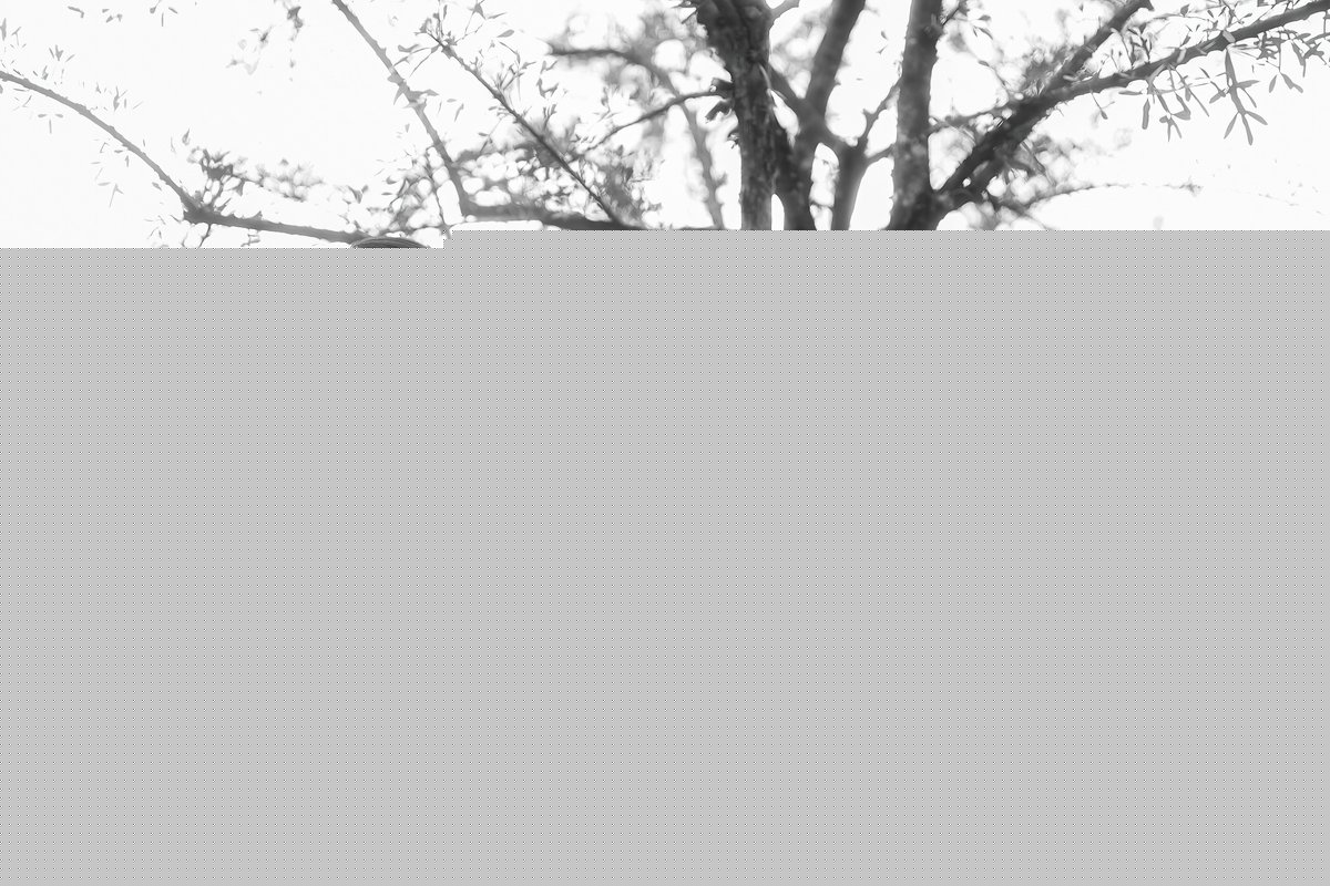 国产精品九九在线播放麻豆_国产激情精品毛片久久久_精品在线三级5544_国产色av综合网_两个小学生窗边拥吻长达3分钟_精品久久久综合日本_欧美精品在线二区_99视频频热这里97_国产亚洲精品欧洲在线观看_在线播放国产高中生露脸